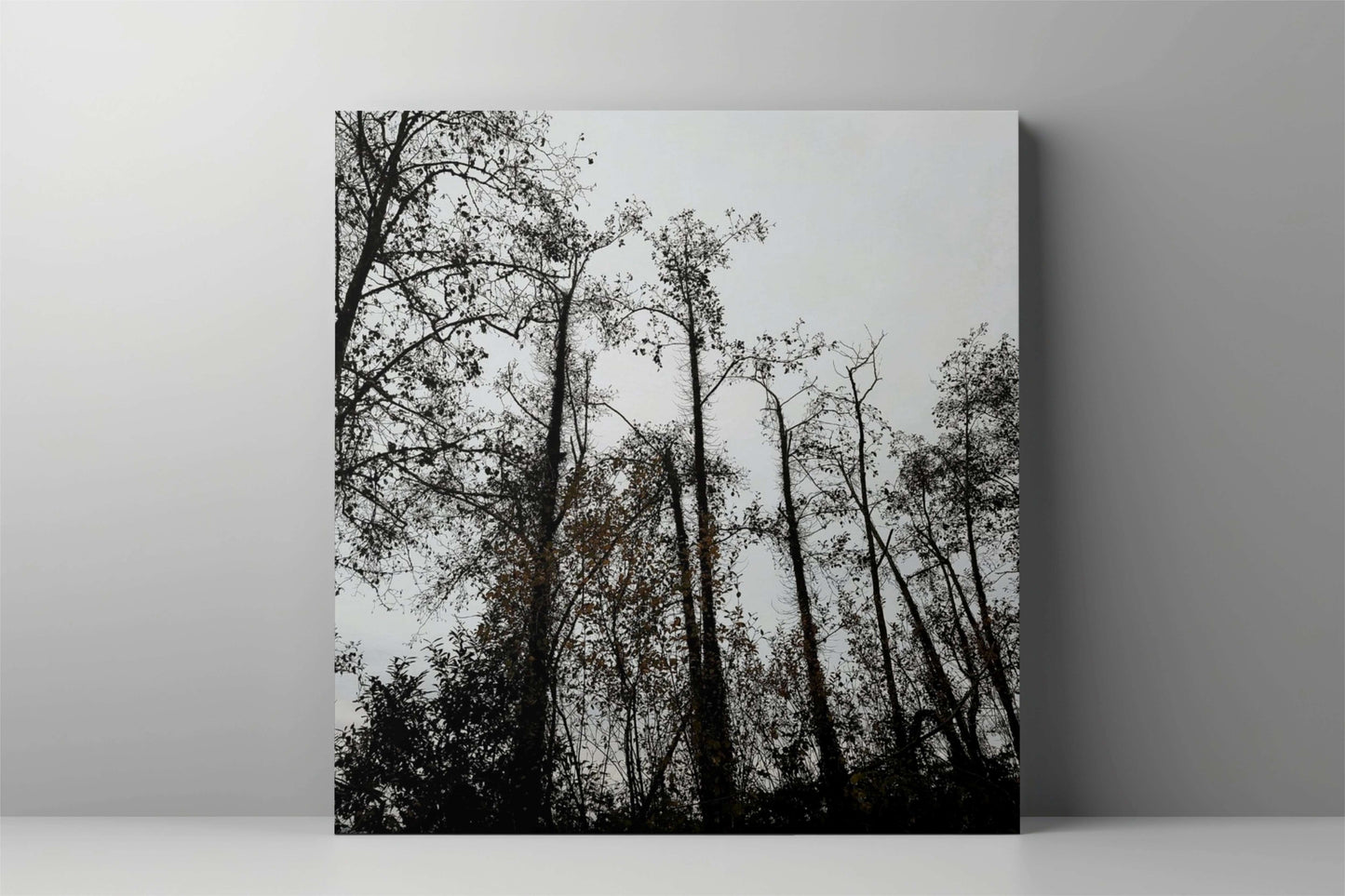 The Trees Rise Museum-Quality Wall Art Print