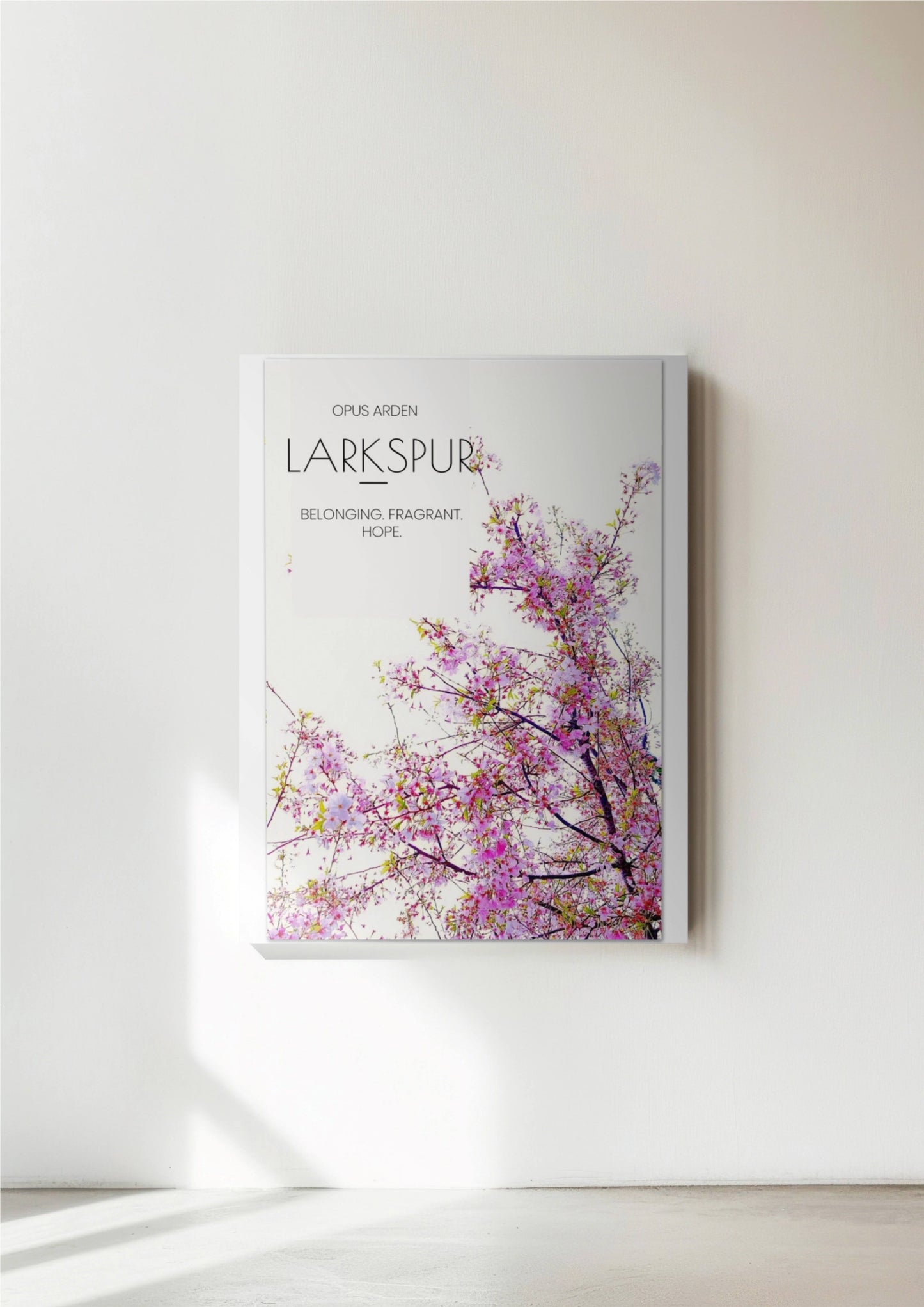 Rose Cherry Blossoms Premium Semi-Glossy Paper Poster