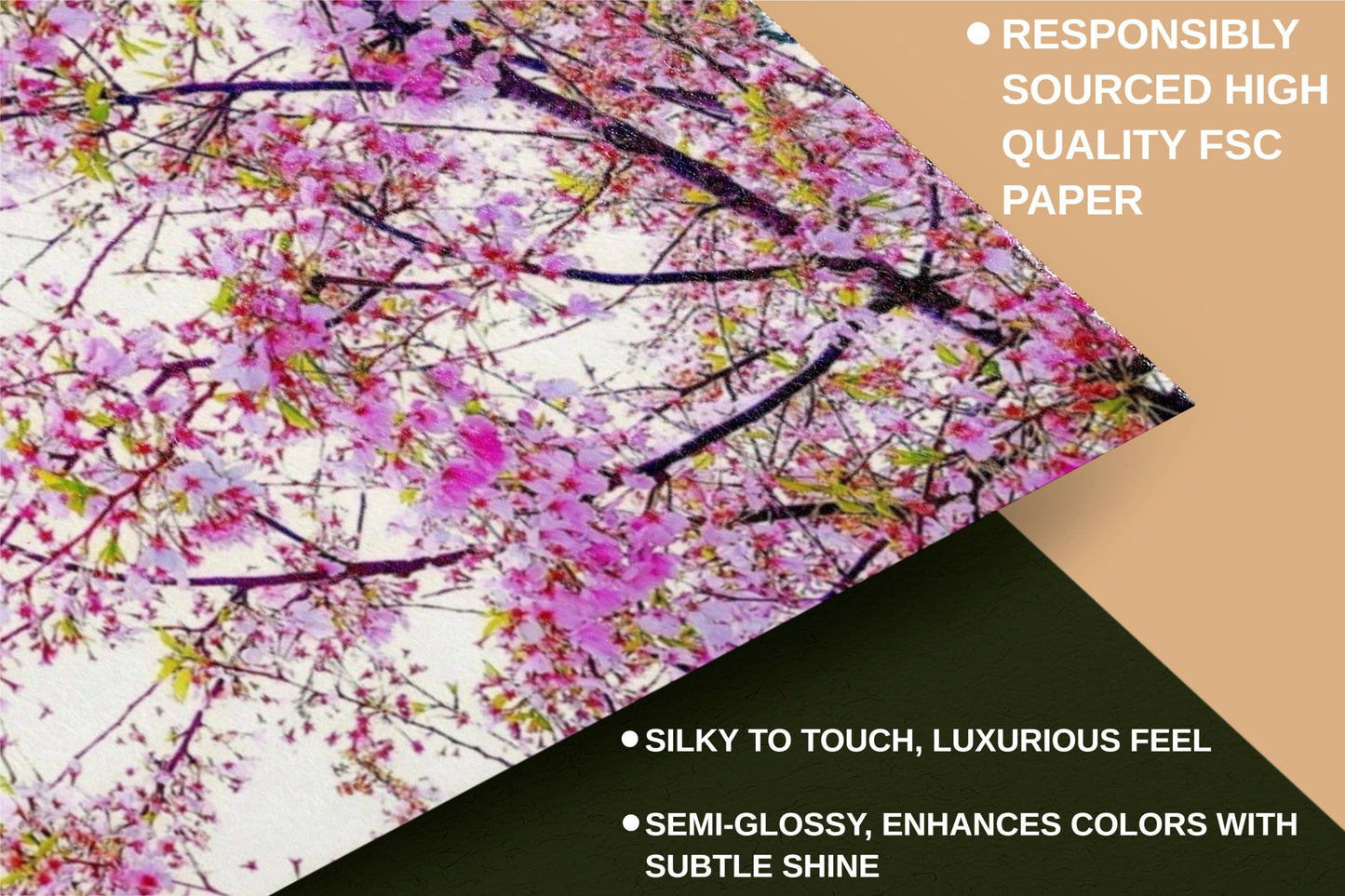 Rose Cherry Blossoms Premium Semi-Glossy Paper Poster